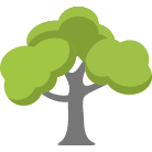 Danbury Tree Removal Service